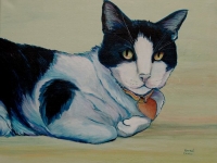 Daniel (Black and White Cat), 16"x20"