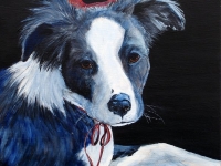 Little Devil (Border Collie), 12"x12"