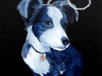 Good Puppy (Border Collie), 12"x12"