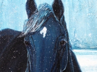 Felixx First Snow (Black Horse), 14"x11"