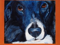 FlyDog (Border Collie/Chow Mix), 12"x12"