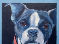 Chipper (Boston Terrier), 12"x12"