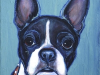 Sasha (Boston Terrier), 8"x8"