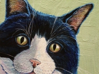 Tuxedo (Cat), 6"x6"