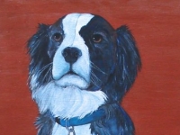 Yeardley, Sit! (Border Collie Mix), 24"x12"