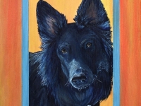 Blue (Shiloh Shepherd), 20"x16"