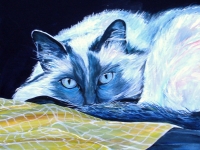 Blue Jasmine (Gray Cat), 12"x12"