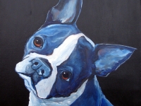 Zeke (Boston Terrier), 12"x12"