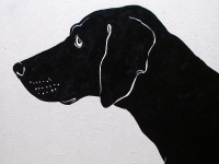 Black Dog on White (Black Labrador Retriever), 36x36