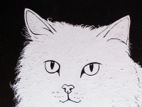 White Cat on Black (Persian Cat), 36x36