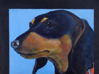 Flip (Dachshund), 12x12