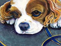 Dickens (King Charles Cavalier), 10"x10"