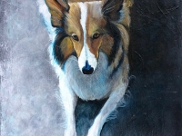 My Jasmine (Shetland Sheepdog), 14"x11"