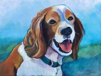 Simon (Welsh Springer Spaniel), 12"x16"