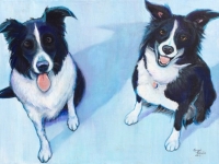 Kirstie and Tina (Border Collies), 12"x16"