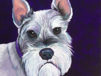 The Little Colonel (Miniature Schnauzer), 12"x12"