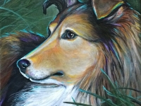 My Zoe 2 (Shetland Sheepdog), 8"x8"
