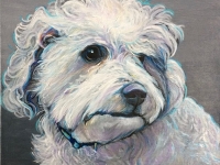 Cotton (Bichon Frise), 10"x10"