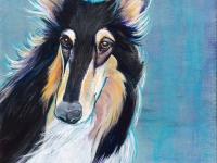 Gabby (Collie), 12"x12"