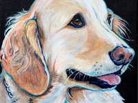 Fancy (Labrador and Golden Retriever), 8"x8"