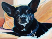 Mickey Sherwin (Chihuahua mix), 12"x12"