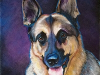 Tucker (German Shepherd), 8x8