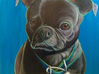 Archie (Pug-Boston Terrier Mix) 36"x36"