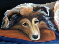 My Zoe (Shetland Sheepdog), 12x12