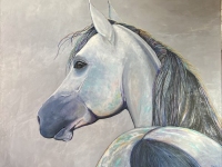 Stardust (Arabian Horse), 24"x30"
