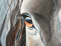 Eye of a Horse, 36"x24"