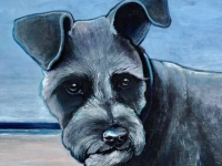 Kingsley (Miniature Schnauzer), 16"x12"