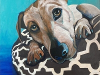 Luna (Australian Cattle Dog), 30"x24"