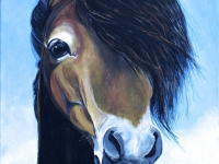 Guinevere (Shetland Pony), 20x16