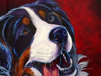 Bella 3 (Bernese Mountain Dog), 14x11