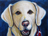 Belle (Yellow Labrador Retriever), 8x8