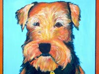 Bernice (Airedale), 20x16