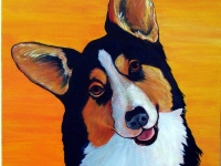 Bingo (Welsh Corgi), 12x12