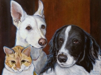 Bonington, Whitney and Karma (Cat, Greyhound and Border Collie), 11x14