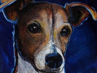 Buddy (Jack Russell Terrier), 5x5