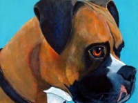 Chester (Boxer), 12x12