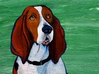 Chevy (Bassett Hound), 14x11