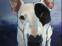 Coconut (Bull Terrier), 20x16