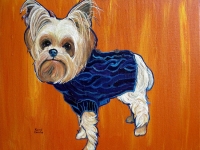 Dexter (Yorkshire Terrier), 16x20