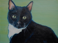 Spooky (Black and White Cat), 12x16
