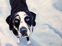 Elvis (Hound Mix), 16x20