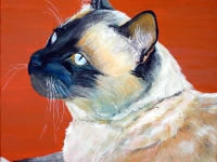 Frankie Blue Eyes (Siamese Cat), 12x12