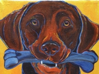 Frenzy (Chocolate Labrador Retriever), 12x12