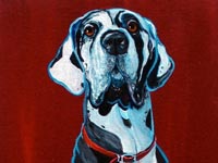 Goliath (Great Dane), 24x12