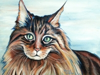 Kat (Maine Coon Cat), 11x14