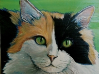 Sherbet 2 (Calico Cat), 11x14